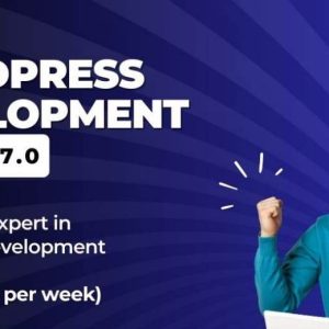 WordPress Web Developement